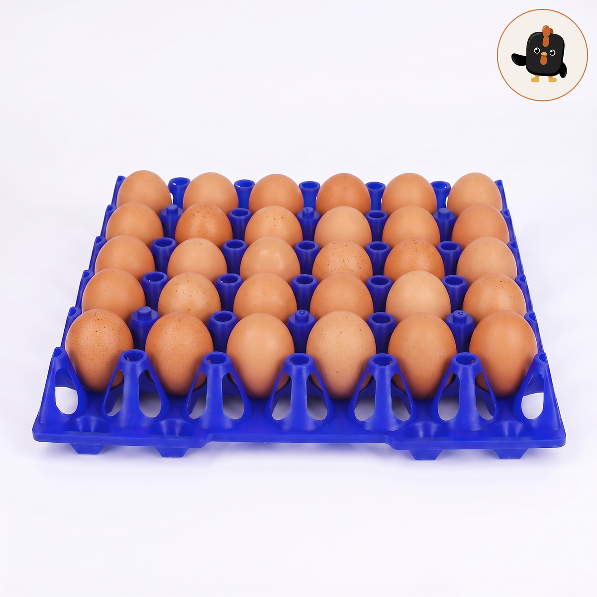 Bandeja apilable de plástico azul para 30 huevos, llena de huevos