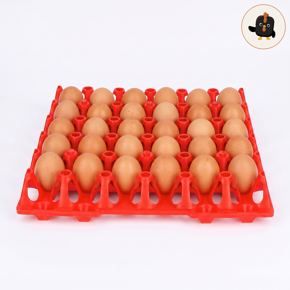 Bandeja apilable de plástico rojo para 30 huevos, llena de huevos