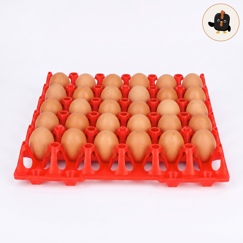 Bandeja apilable de plástico rojo para 30 huevos, llena de huevos