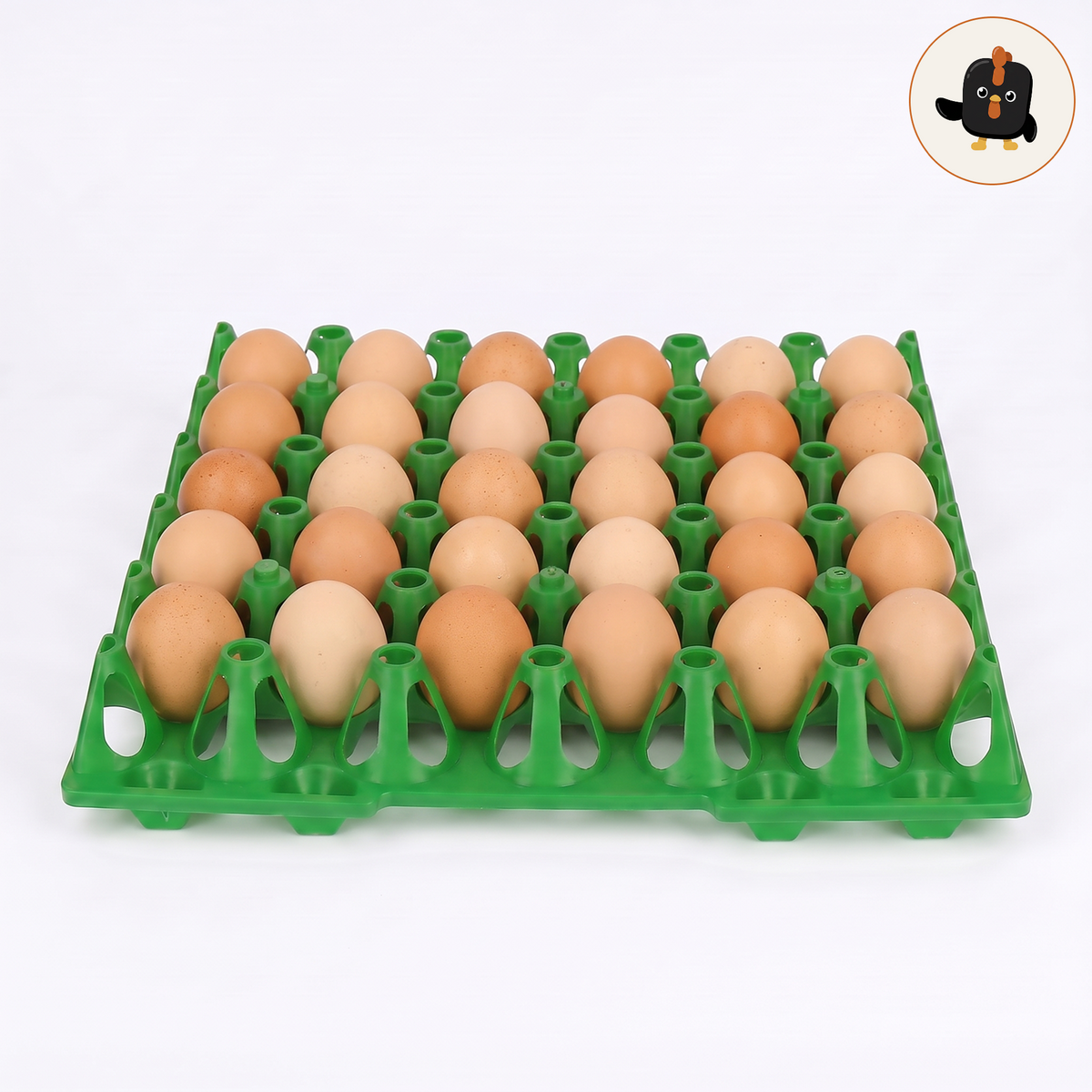 Bandeja apilable de plástico verde para 30 huevos, llena de huevos
