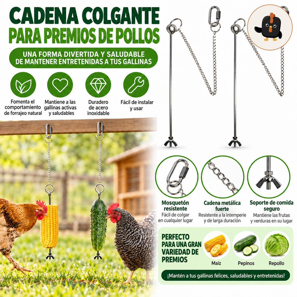 Dos gallinas picoteando una mazorca de maíz y un pepino colgados de comederos de cadena de acero