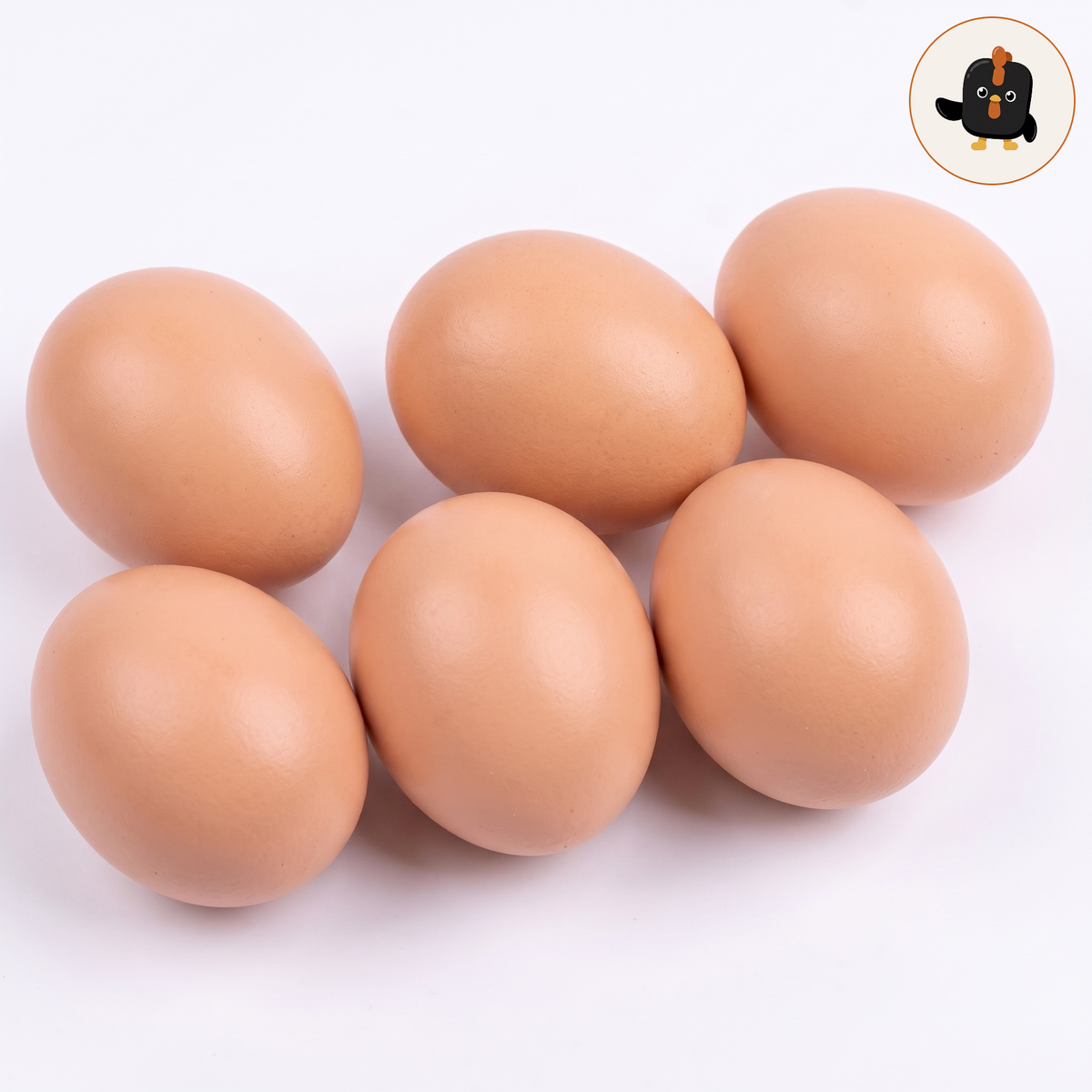 Cinco huevos señuelo marrones sobre fondo blanco