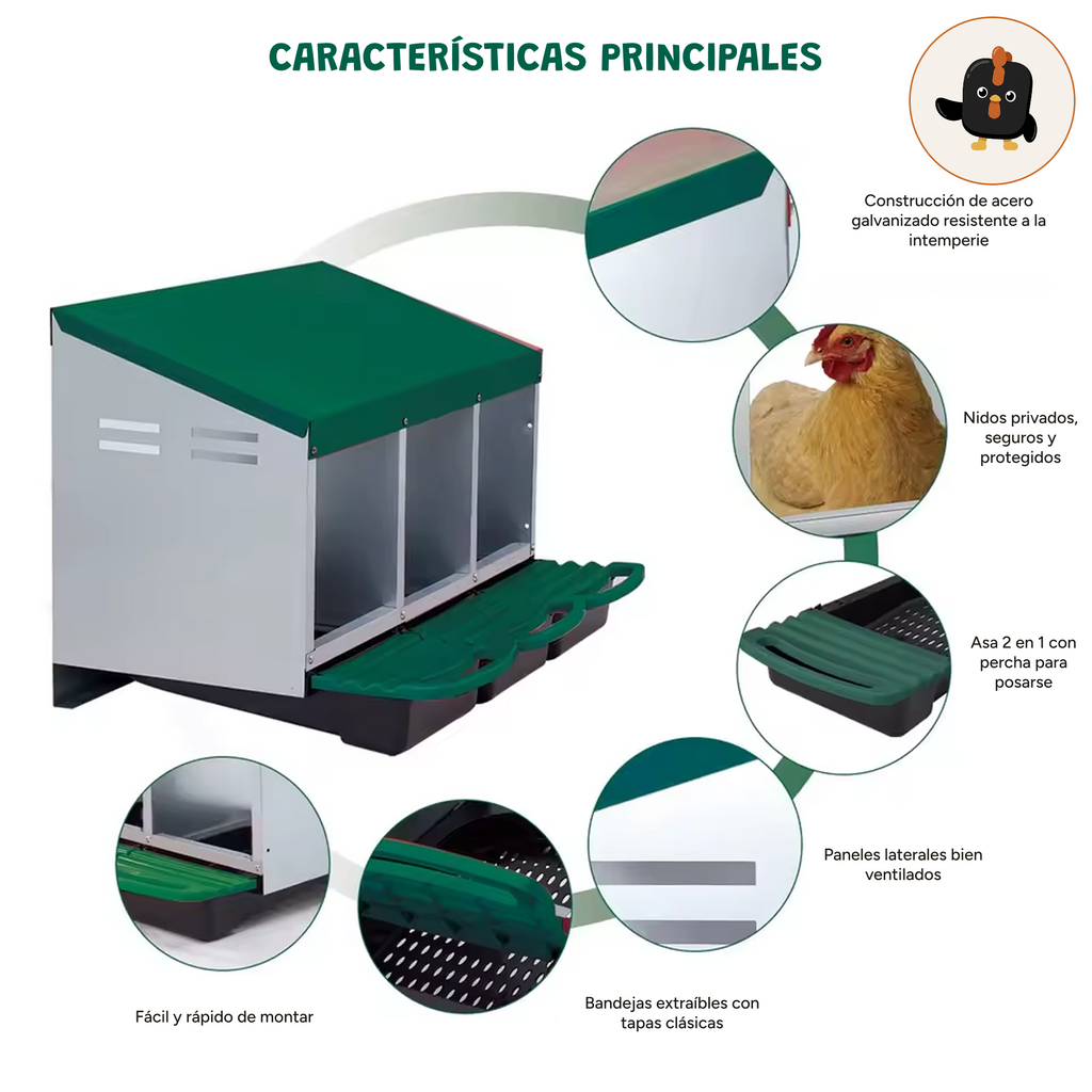 Características del ponedero metálico verde de 3 huecos: acero galvanizado, nidos privados y bandejas extraíbles