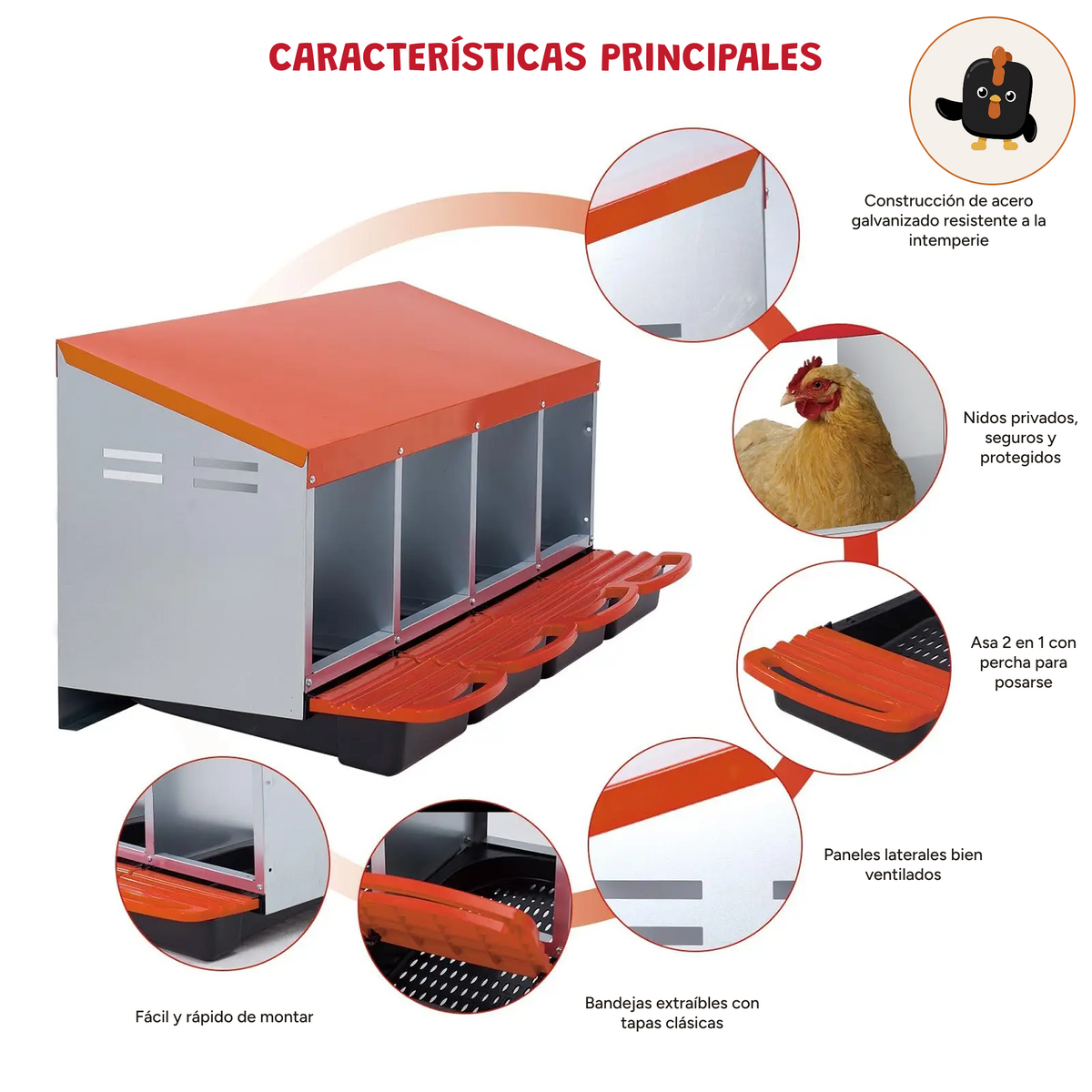 Características del ponedero metálico de 4 huecos: acero galvanizado, nidos privados y bandejas extraíbles