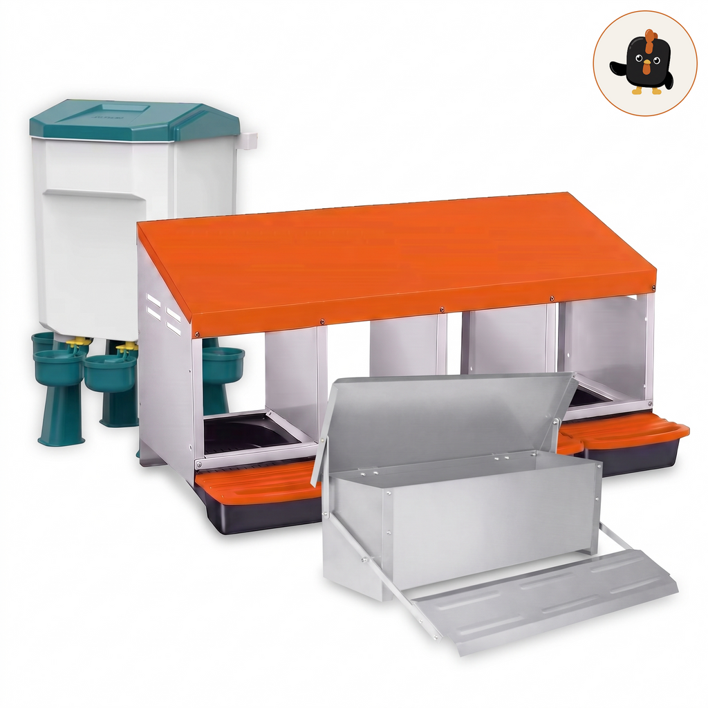 Large coop kit: 4-hole nest box, drinker and feeder